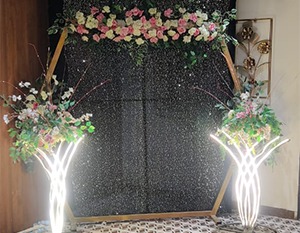 WhatsApp Image 2024-09-06 at 4.42.49 PM (2)